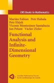 Functional Analysis and Infinite-Dimensional Geometry (eBook, PDF)
