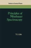 Principles of Mössbauer Spectroscopy (eBook, PDF)