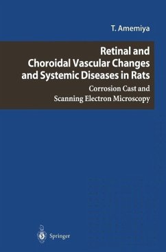 Retinal and Choroidal Vascular Changes and Systemic Diseases in Rats (eBook, PDF) - Amemiya, T.