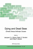 Dying and Dead Seas Climatic Versus Anthropic Causes (eBook, PDF)