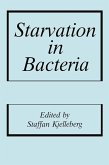 Starvation in Bacteria (eBook, PDF)