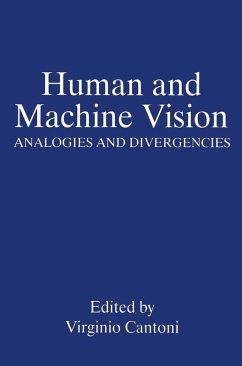 Human and Machine Vision (eBook, PDF)