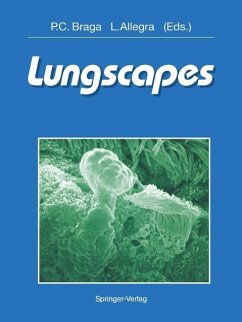 Cover Lungscapes (eBook, PDF)