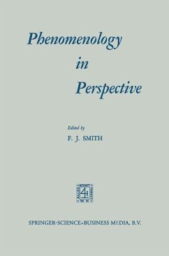 Phenomenology in Perspective (eBook, PDF) - Smith