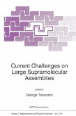 Current Challenges on Large Supramolecular Assemblies (eBook, PDF)