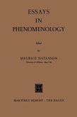 Essays in Phenomenology (eBook, PDF)