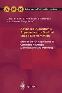 Advanced Algorithmic Approaches to Medical Image Segmentation (eBook, PDF)
