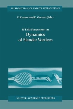 IUTAM Symposium on Dynamics of Slender Vortices (eBook, PDF)