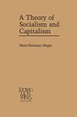 A Theory of Socialism and Capitalism (eBook, PDF)