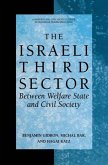 The Israeli Third Sector (eBook, PDF)