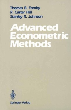 Cover Advanced Econometric Methods (eBook, PDF)