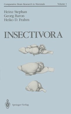 Insectivora (eBook, PDF) - Stephan, Heinz; Baron, Georg; Frahm, Heiko D.