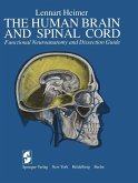 The Human Brain and Spinal Cord (eBook, PDF)