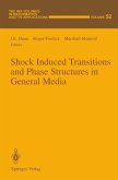 Shock Induced Transitions and Phase Structures in General Media (eBook, PDF)