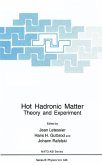 Hot Hadronic Matter (eBook, PDF)