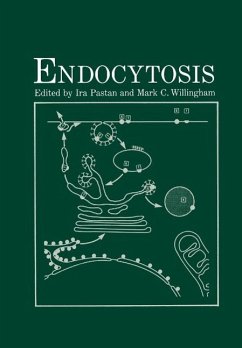 Endocytosis (eBook, PDF)