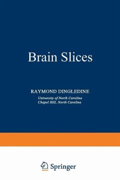 Cover Brain Slices (eBook, PDF)