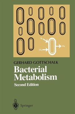 Bacterial Metabolism (eBook, PDF) - Gottschalk, Gerhard