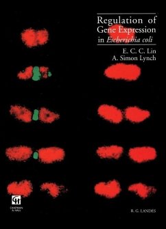 Regulation of Gene Expression in Escherichia coli (eBook, PDF) - Lin, E. C. C.; Lynch, A. Simon