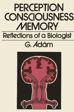 Cover Perception, Consciousness, Memory (eBook, PDF)