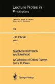 Statistical Information and Likelihood (eBook, PDF)