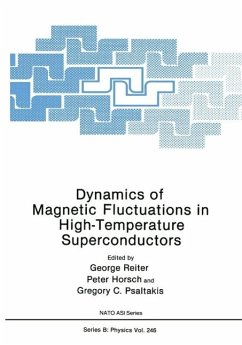 Dynamics of Magnetic Fluctuations in High-Temperature Superconductors (eBook, PDF)