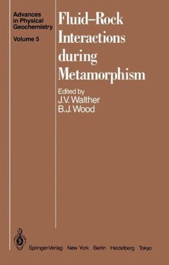Cover Fluid-Rock Interactions during Metamorphism (eBook, PDF)
