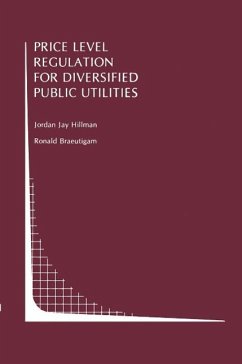 Price Level Regulation for Diversified Public Utilities (eBook, PDF) - Hillman, Jordan J.; Braeutigam, Ronald