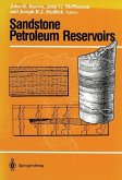 Sandstone Petroleum Reservoirs (eBook, PDF)