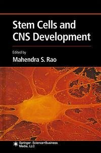 Cover Stem Cells and CNS Development (eBook, PDF)