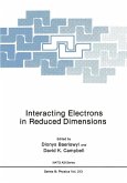 Interacting Electrons in Reduced Dimensions (eBook, PDF)