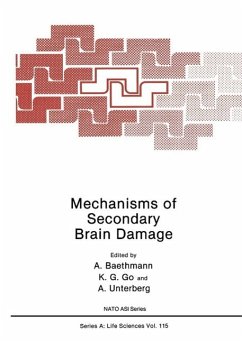 Mechanisms of Secondary Brain Damage (eBook, PDF) - Baethmann, A.; Go, K. G.; Unterberg, A.