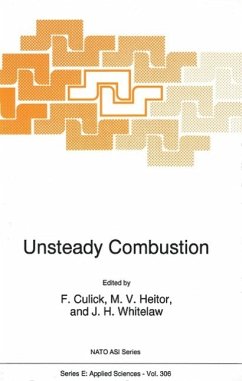 Cover Unsteady Combustion (eBook, PDF)