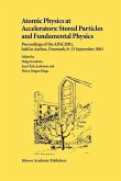 Atomic Physics at Accelerators: Stored Particles and Fundamental Physics (eBook, PDF)