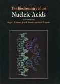 The Biochemistry of the Nucleic Acids (eBook, PDF)