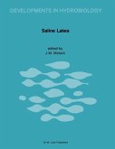 Saline Lakes (eBook, PDF)