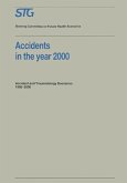 Accidents in the Year 2000 (eBook, PDF)