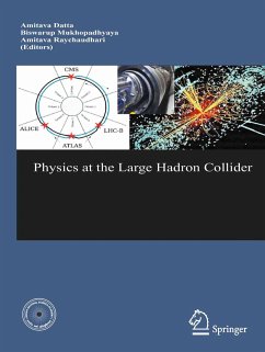 Physics at the Large Hadron Collider (eBook, PDF)