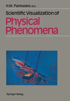 Cover Scientific Visualization of Physical Phenomena (eBook, PDF)