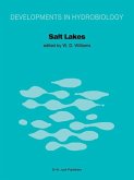 Salt Lakes (eBook, PDF)