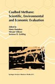 Coalbed Methane: Scientific, Environmental and Economic Evaluation (eBook, PDF)