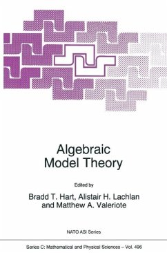 Algebraic Model Theory (eBook, PDF)