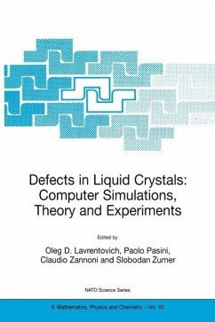 Defects in Liquid Crystals: Computer Simulations, Theory and Experiments (eBook, PDF)