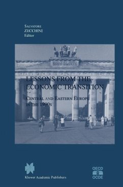 Lessons from the Economic Transition (eBook, PDF)