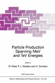 Particle Production Spanning MeV and TeV Energies (eBook, PDF)