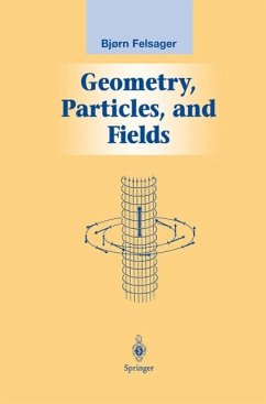 Geometry, Particles, and Fields (eBook, PDF) - Felsager, Bjoern