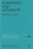 Substance and Attribute (eBook, PDF)
