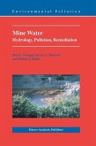Mine Water (eBook, PDF)