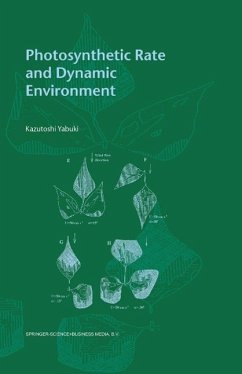 Photosynthetic Rate and Dynamic Environment (eBook, PDF) - Yabuki, Kazutoshi