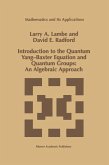 Introduction to the Quantum Yang-Baxter Equation and Quantum Groups: An Algebraic Approach (eBook, PDF)